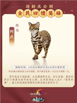 天龙八部私服转生设置